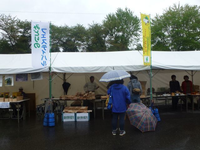 みどりのフェスティバル2014.jpg
