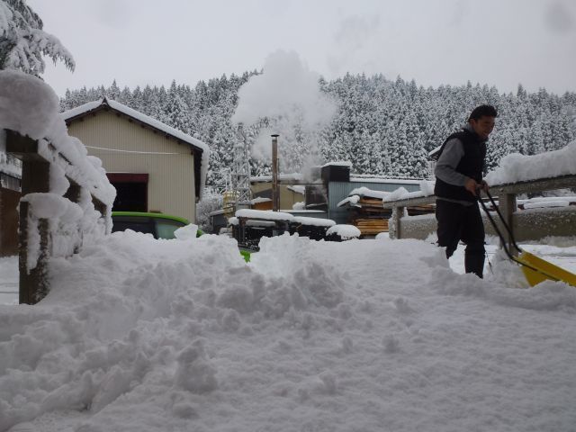 初積雪.jpg