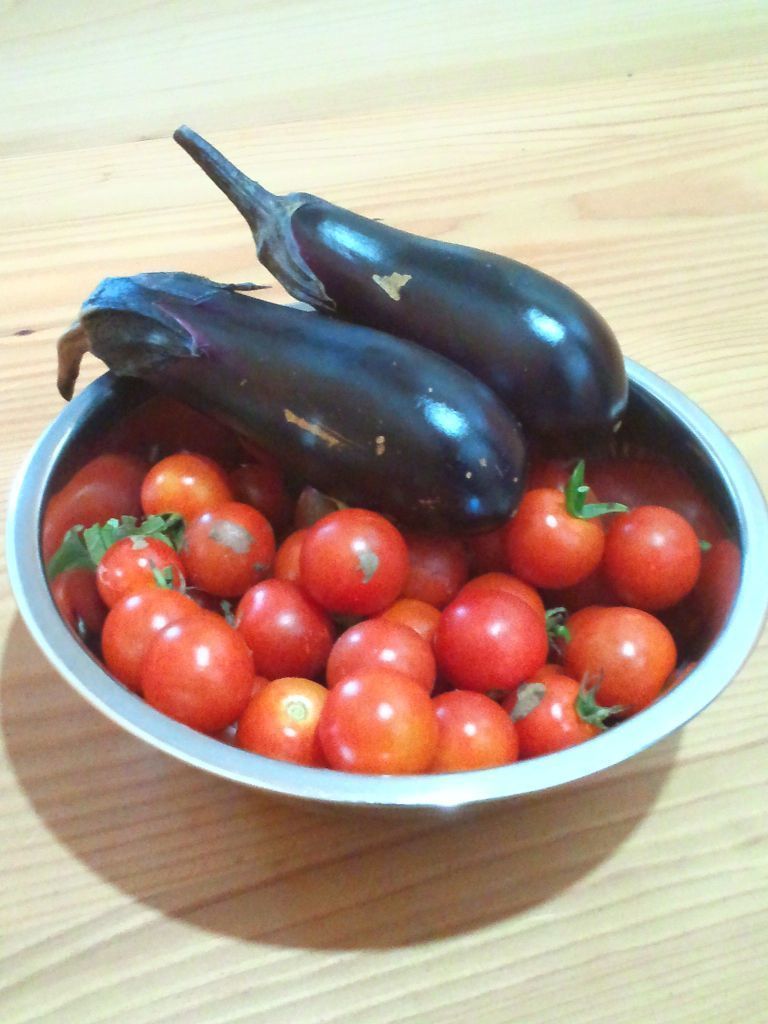 収穫トマトとナス.jpg