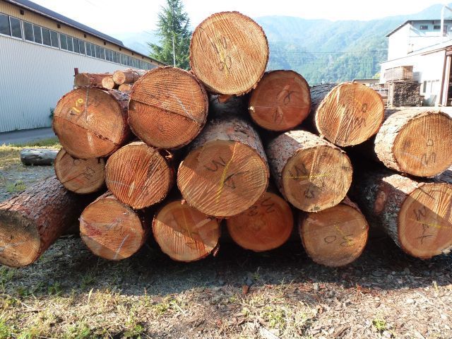 P1010120.jpg