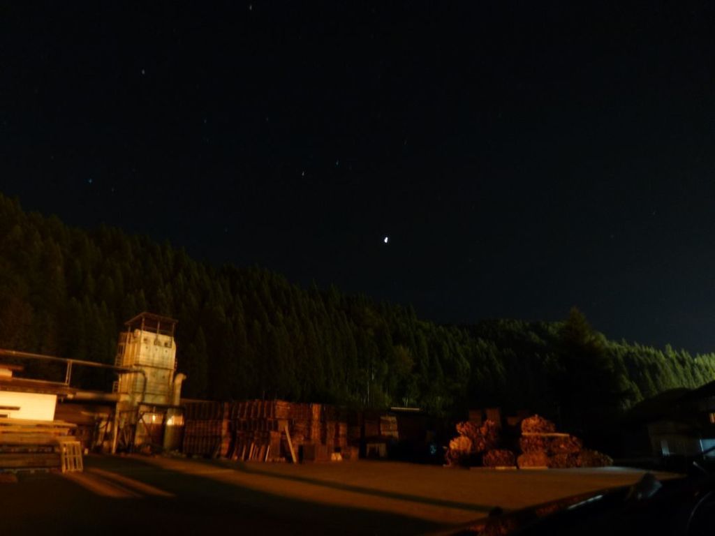P1010403.jpg