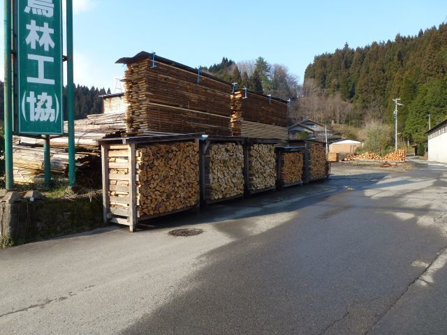 P1010964.jpg