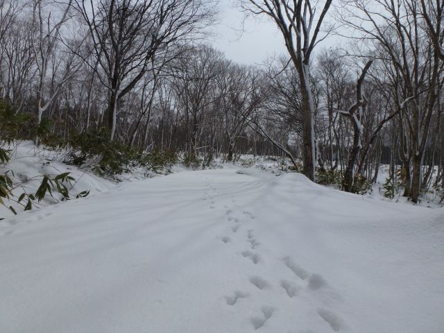 P1010973.jpg