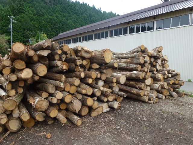 P1020457.jpg