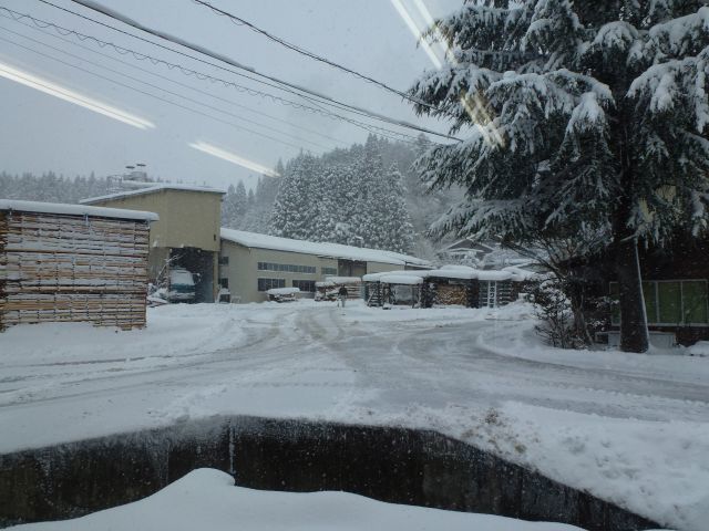 P1080050.jpg