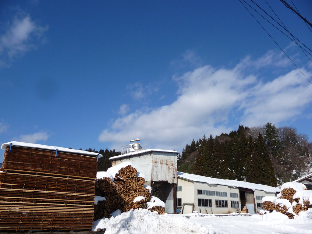 P1180766.jpg