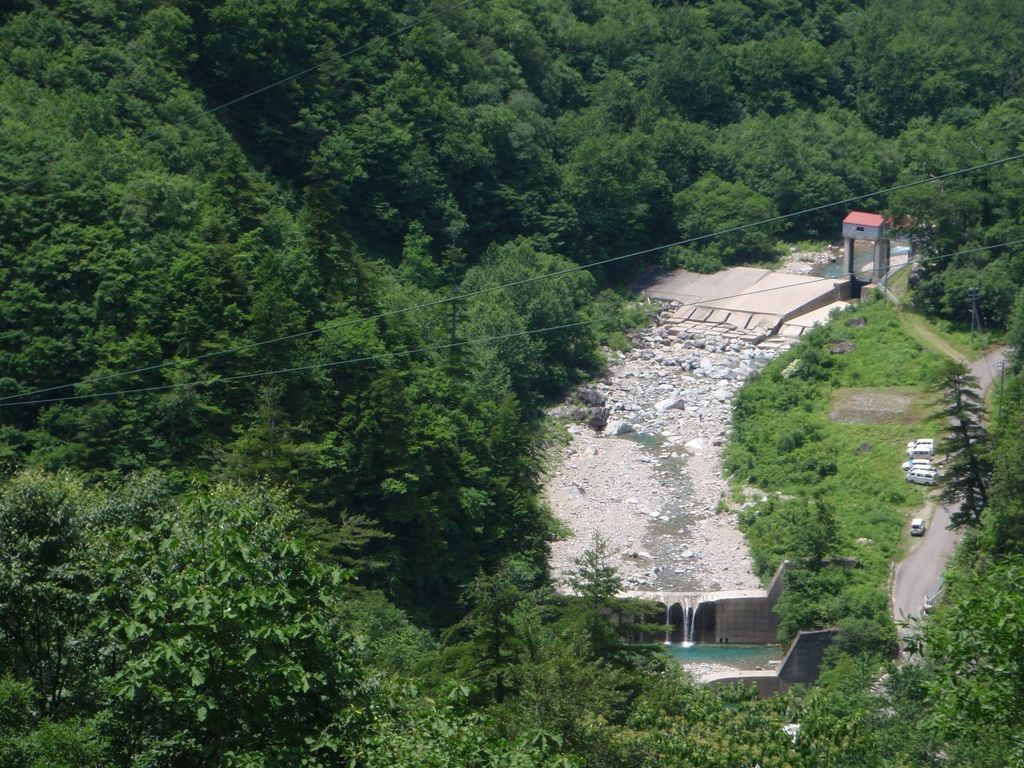 P7060050.jpg