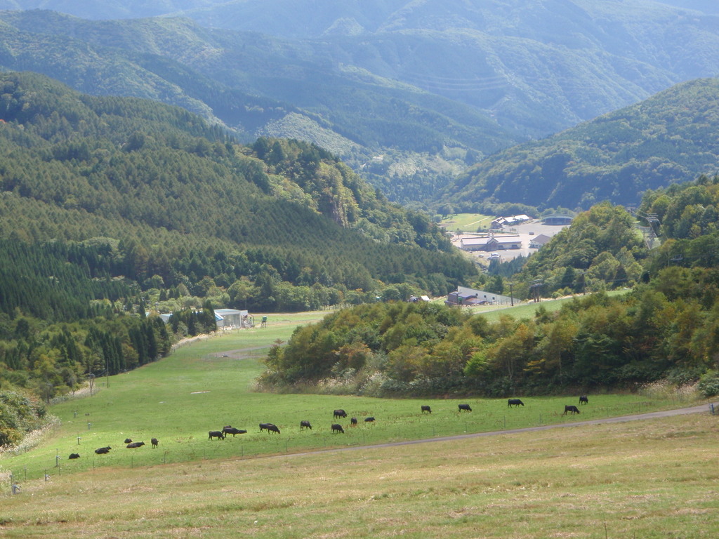 PA060401.jpg