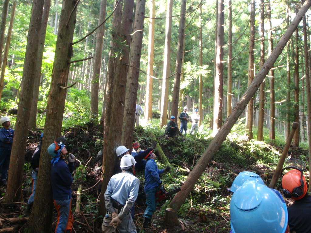 PA060427.jpg