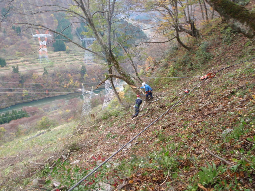 PB180035.jpg