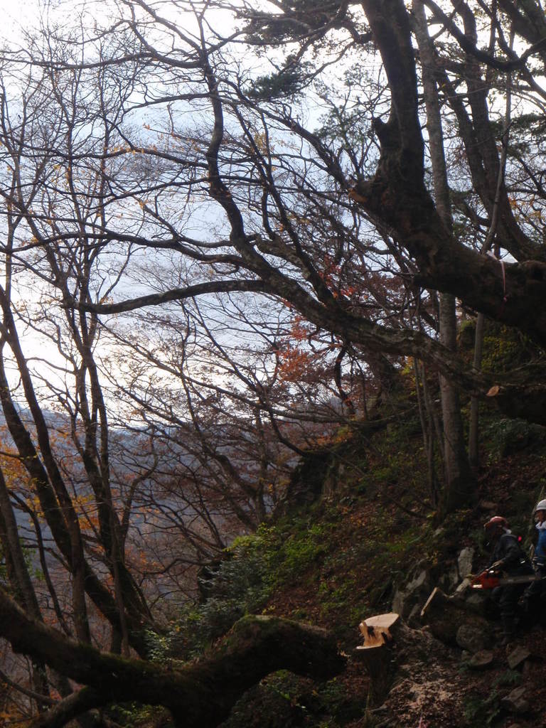 PB180041.jpg
