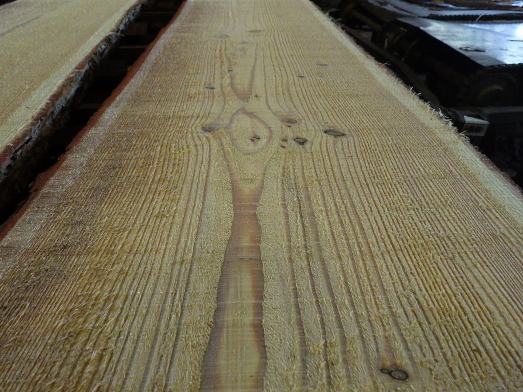 RIMG0661.JPG