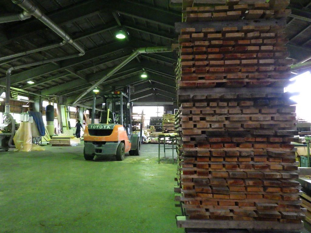 RIMG0795.JPG