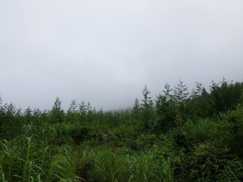 RIMG0871.JPG